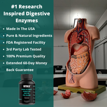Load image into Gallery viewer, digestive enzymes buy online